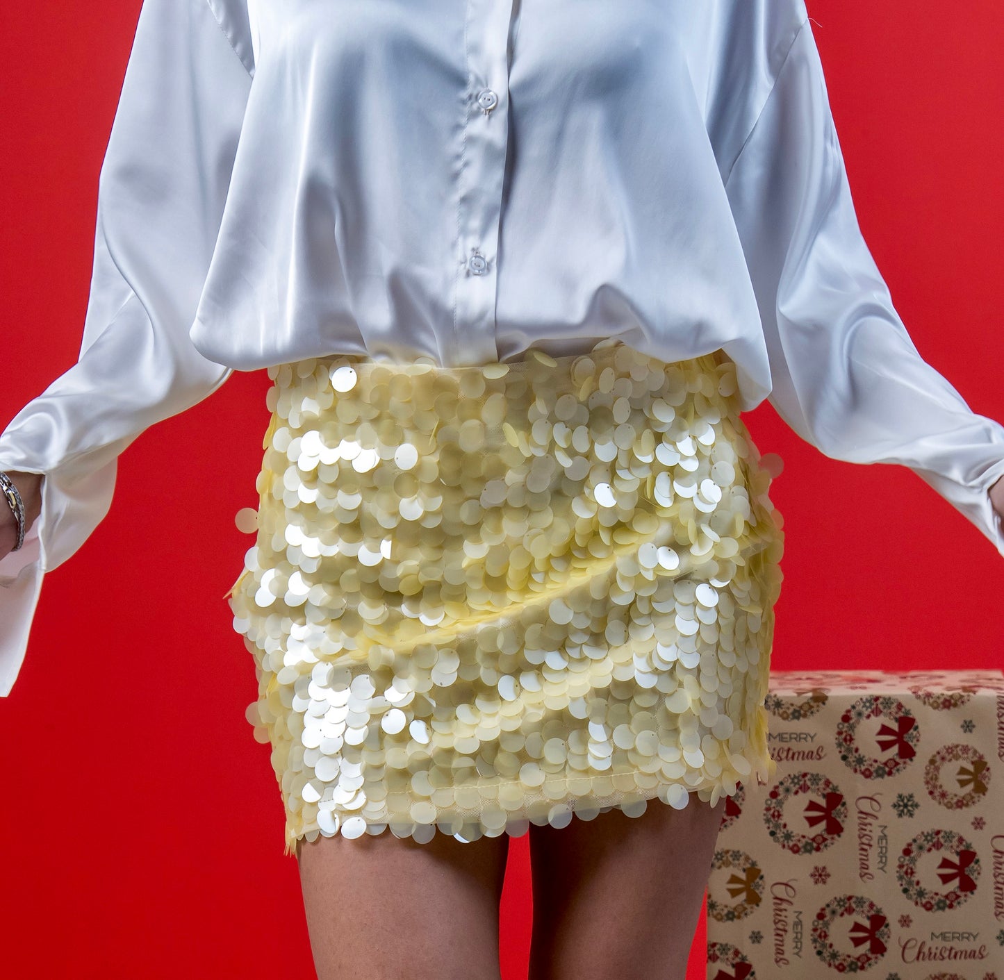 Sequin Skirt