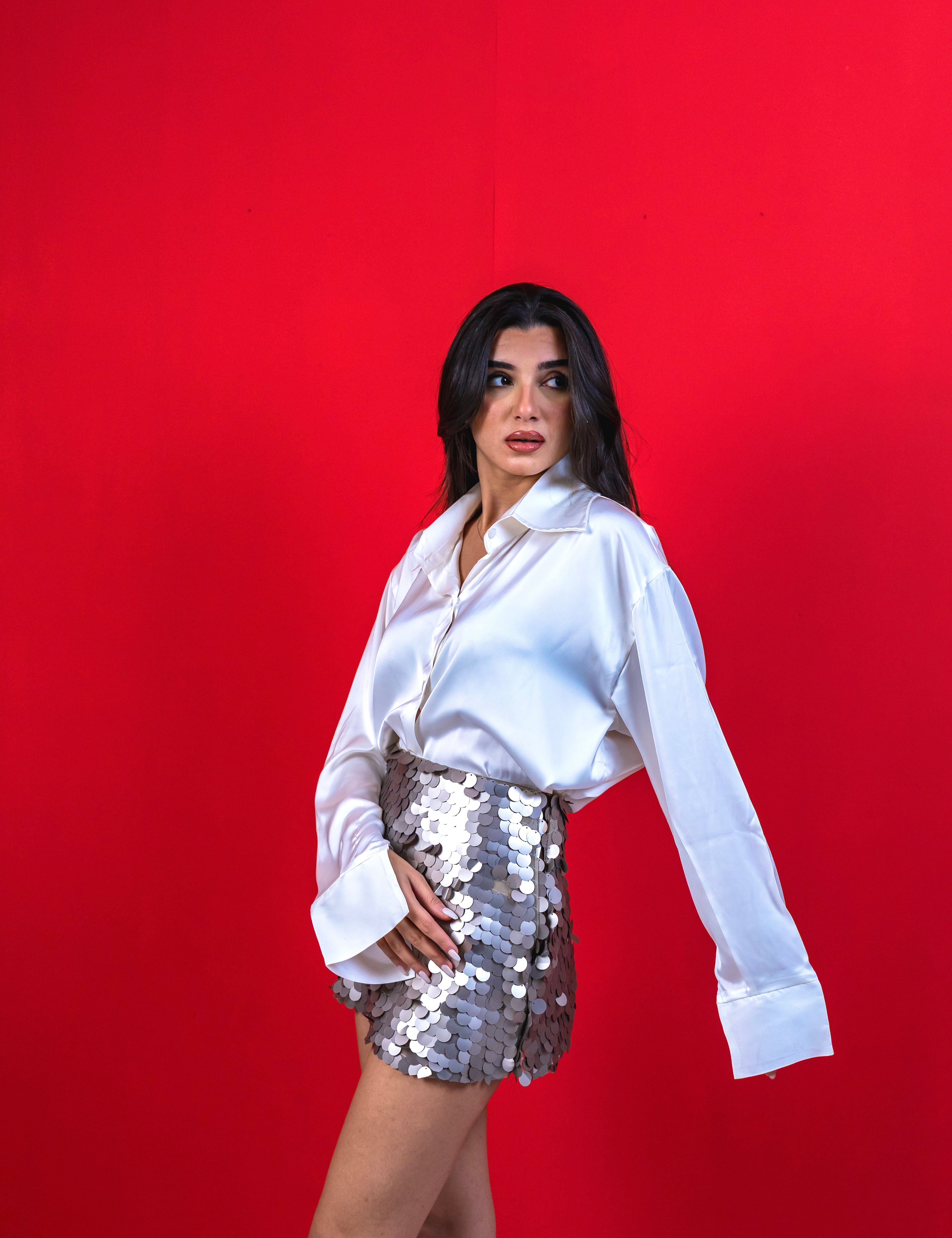 Sequin Skirt